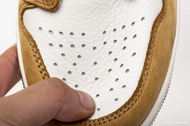 555088-700 of Rookie Year Jordan Air 1 the 0910